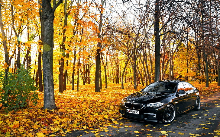 HD black BMW sedan, car, leaves, road, forest, nature, autumn | Wallpaper Flare