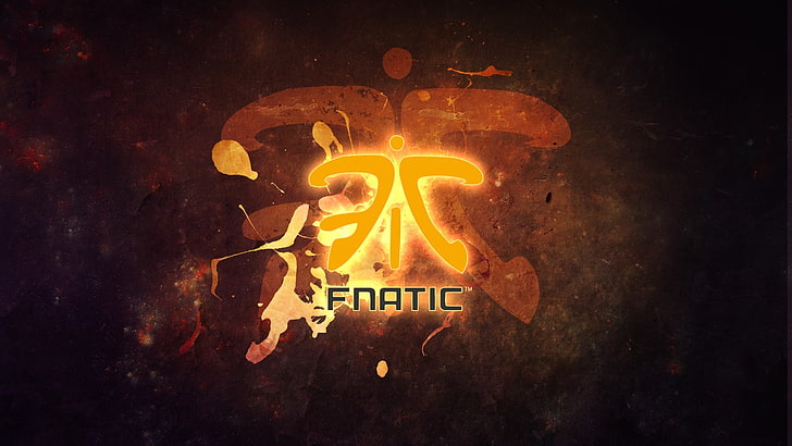 Fnatic logo, Team, cs go, halloween, pumpkin, backgrounds, night, HD wallpaper