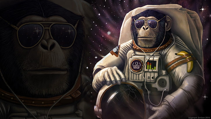 Space monkey 1080P, 2K, 4K, 5K HD wallpapers free download | Wallpaper Flare