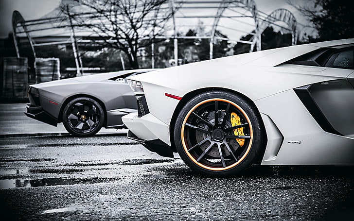 white and gray luxury cars, Lamborghini, vehicle, motor vehicle, HD wallpaper