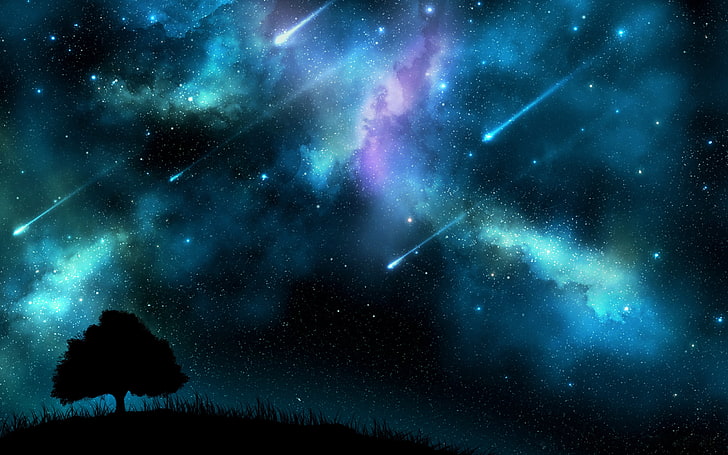 meteor shower illustration, space, night, tree, Wallpaper, star - Space, HD wallpaper