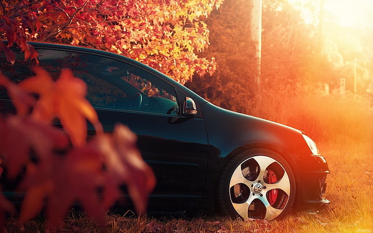 black car between tree, Volkswagen, Volkswagen Golf Mk5, autumn, HD wallpaper