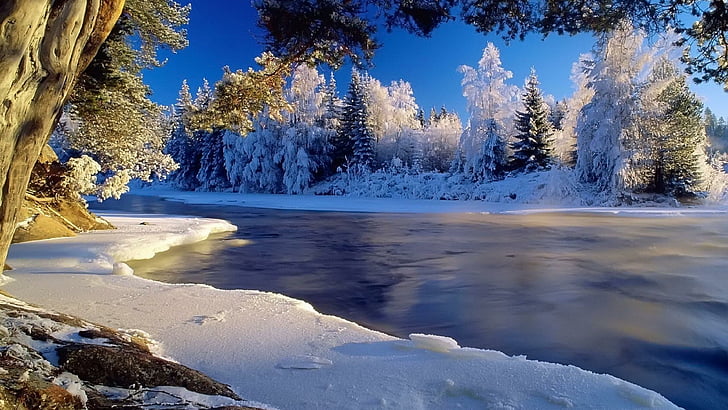 ice, river, forest, winter, snow, hoarfrost, icy, coast, cold, HD wallpaper