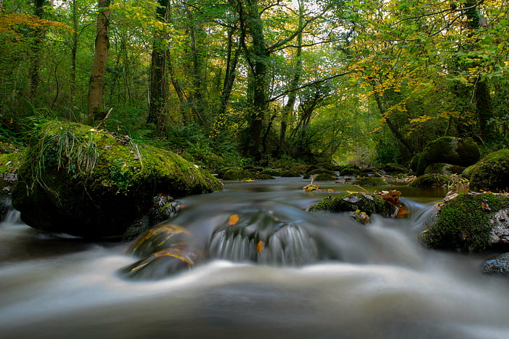 flowing water on rock formations surrounded by tall trees during daytime, enniskerry, enniskerry, HD wallpaper