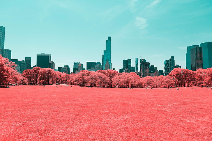 Central Park, Manhattan, 4K, New York City, Infrared