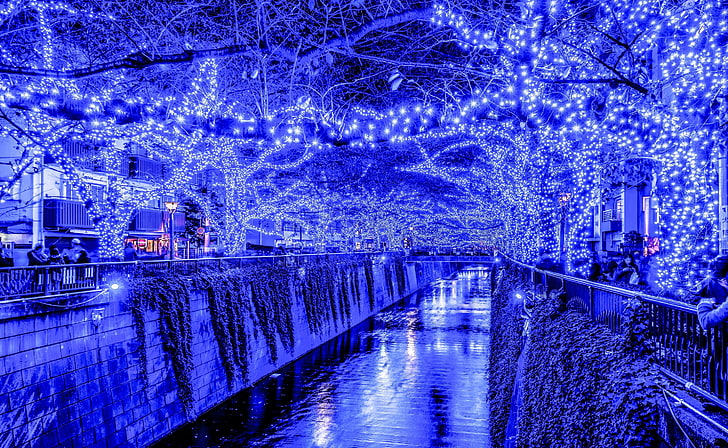 Tokyo Blue Grotto Japan, blue string lights, Asia, illuminated, HD wallpaper