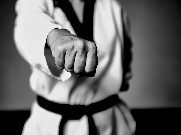 grayscale photography of taekwondo player wallpaper, fight, fighter, HD wallpaper