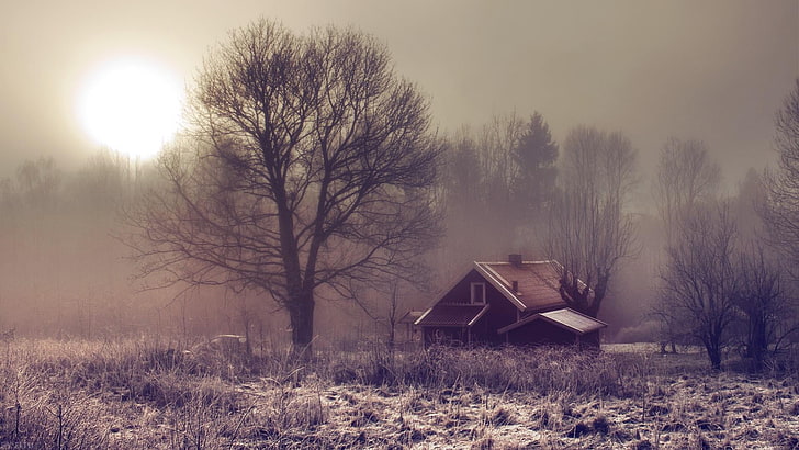 home, house, winter, tree, farm, freezing, frost, woody plant