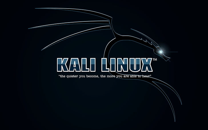 Kali Linux, text, western script, communication, black background, HD wallpaper