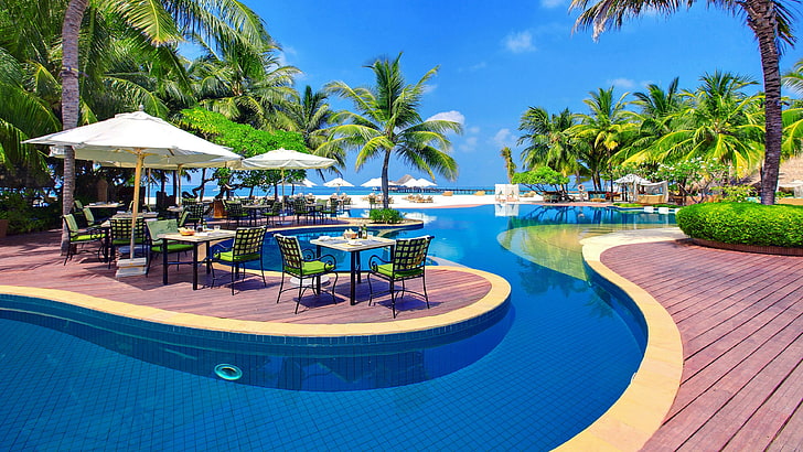 resort, leisure, swimming pool, resort town, vacation, palm tree, HD wallpaper
