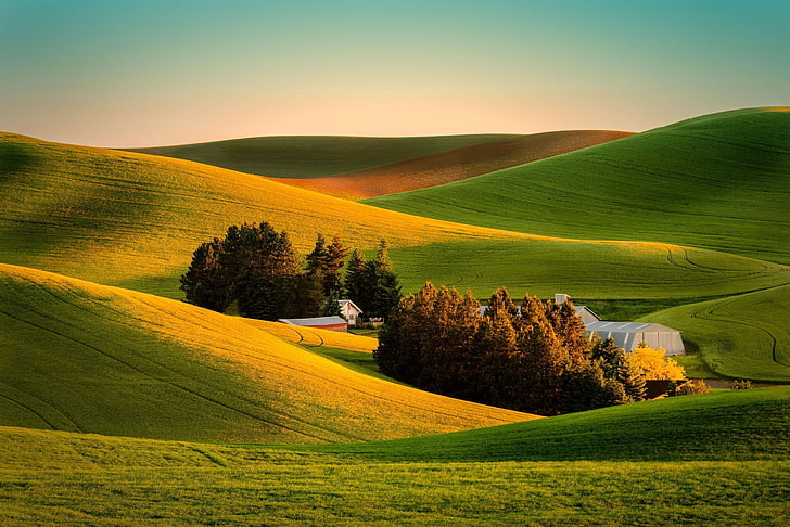 green grass, field, landscape, farm, nature, rural Scene, agriculture, HD wallpaper