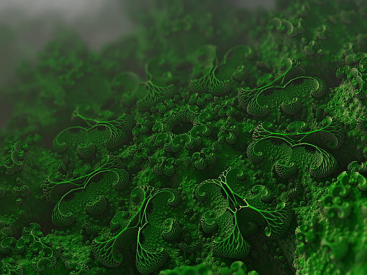 microorganisms, cells, microscopic, microbiology, bacteria, HD wallpaper