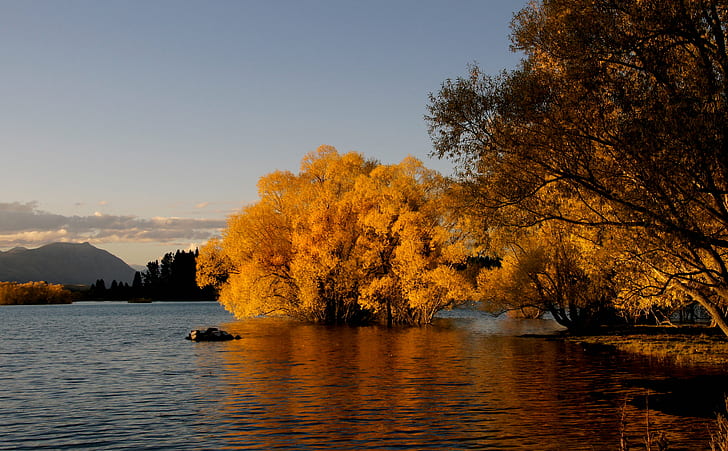 brown tree on lake, lake tekapo, lake tekapo, Autumn, Tamron, HD wallpaper