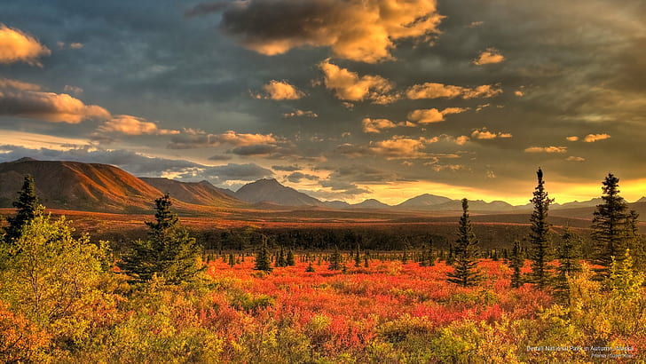 Denali national park 1080P, 2K, 4K, 5K HD wallpapers free download |  Wallpaper Flare