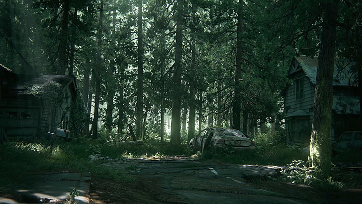 The Last of Us Part 2, The Last of Us 2, Ellie, tree, plant, HD wallpaper