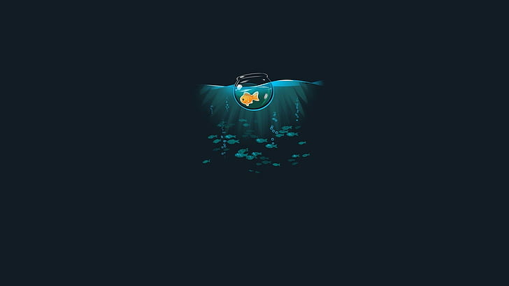 animals, simple background, underwater, fish, threadless, humor, HD wallpaper