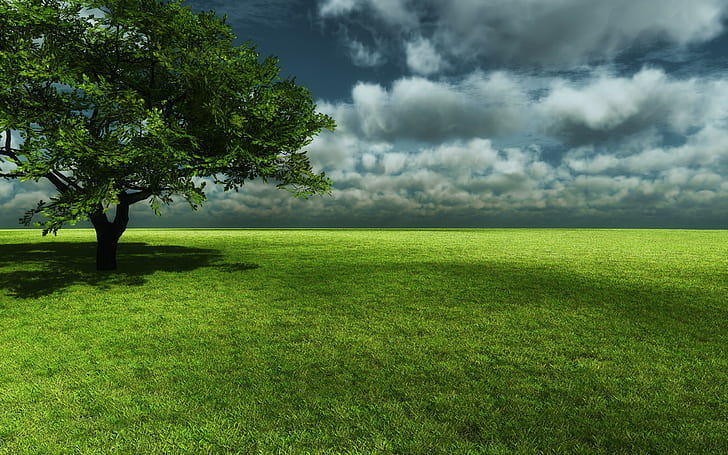 landscape, nature, sky, grass, clouds, HD wallpaper