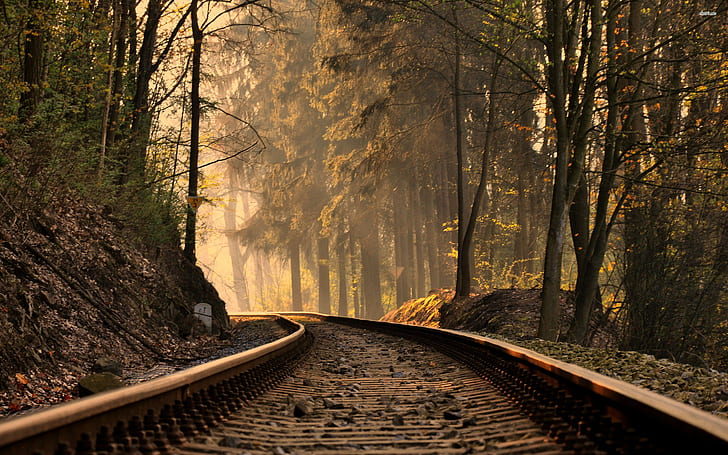 Mountain, 2880x1800, Forest, tree, fir, railroad, photography