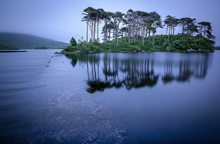 Ireland, nature, water, island, trees, HD wallpaper