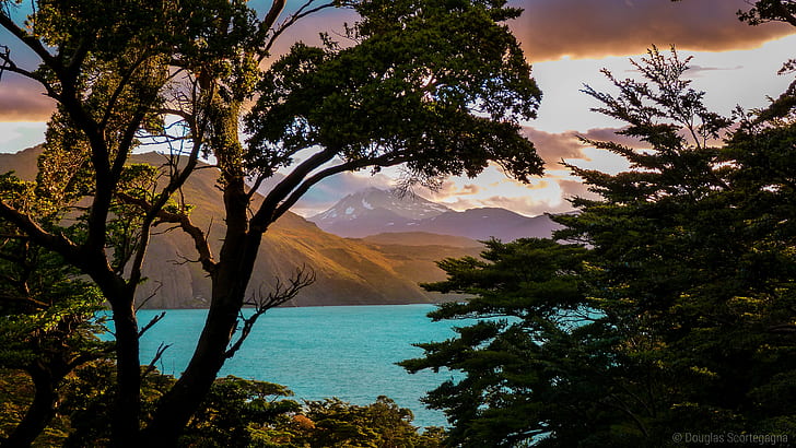 photography of trees, mountains and body of water, Trough, Patagonia, HD wallpaper