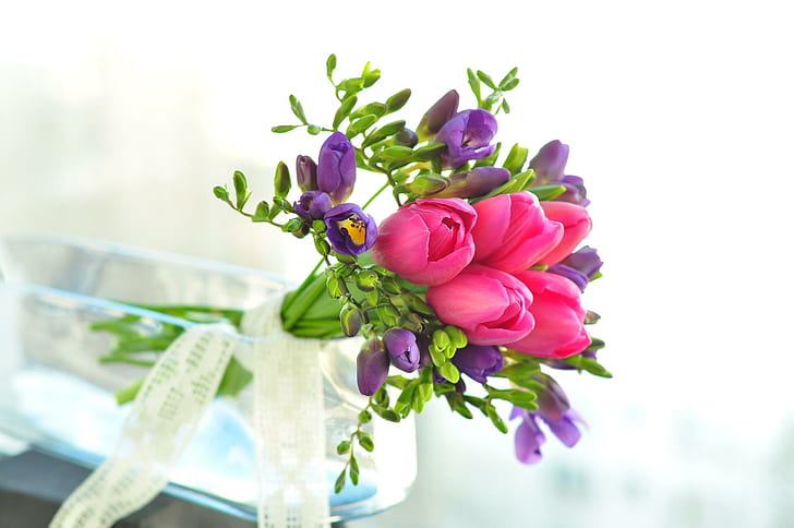 ๑♥๑ Spring Delicacy ๑♥๑, sia, nature, bright, tulips, HD wallpaper