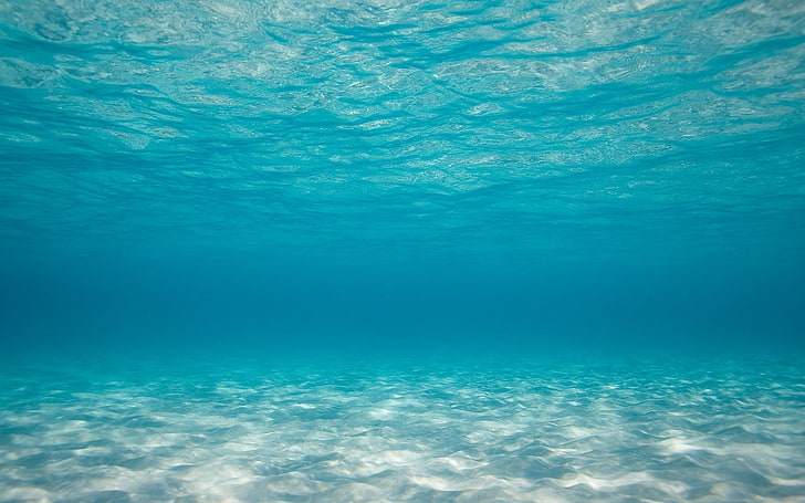 blue body of water, sea, underwater, backgrounds, undersea, nature, HD wallpaper