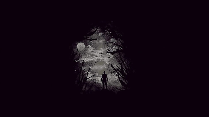 silhouette of a man photo, dark, forest, minimalism, artwork