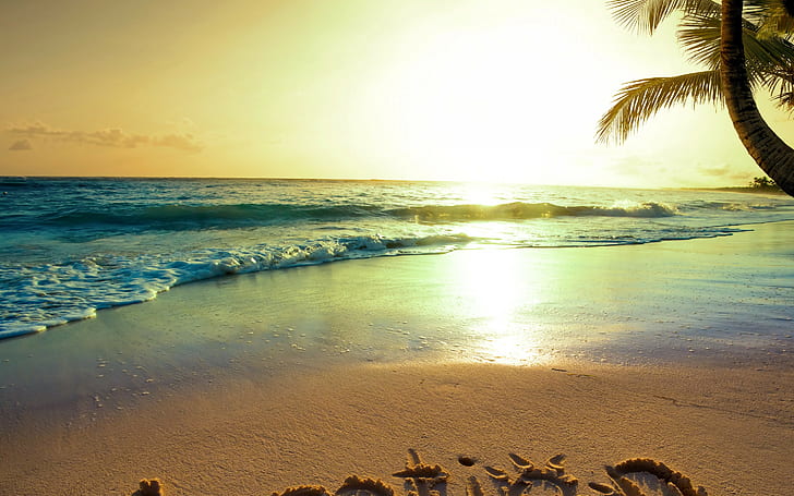 Summertime, palm tree, tropical, paradise, beach, coast, Sea, HD wallpaper