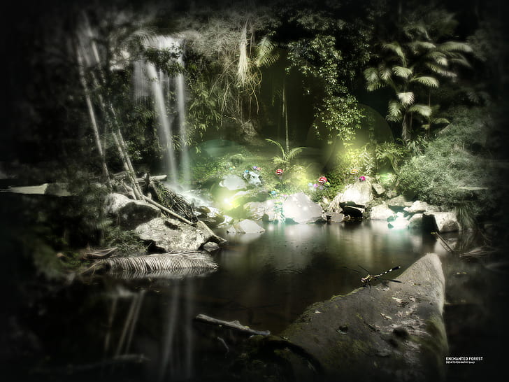 Forest Jungle Enchanted HD, fantasy, HD wallpaper