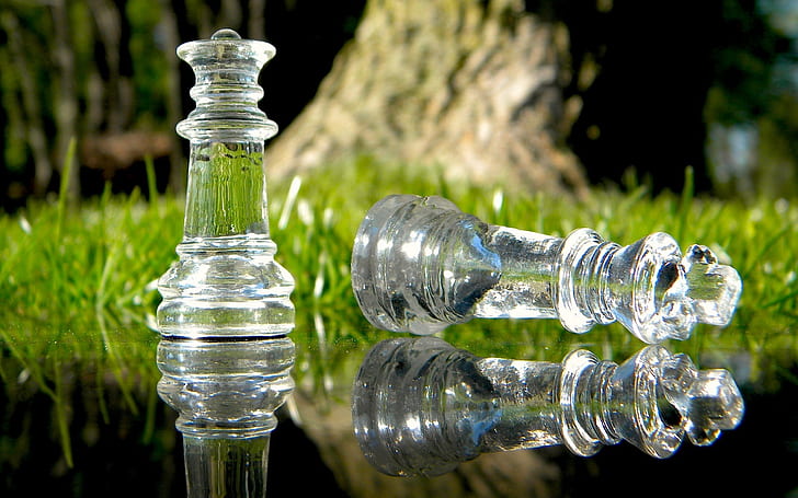 grass, glass, water, macro, nature, reflection, the game, chess, HD wallpaper