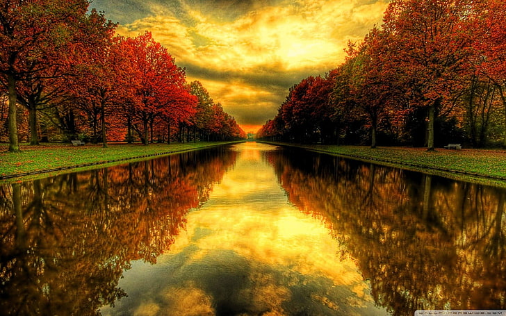 canal, fall, reflection, tree, water, tranquility, sky, tranquil scene, HD wallpaper