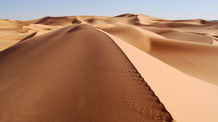desert, footprints, dune, sand, landscape, nature, sand dune
