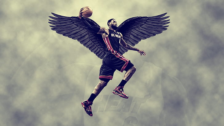 Lebron James, Miami Heat, Wings