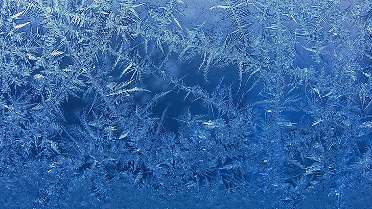 frosted glass  4k, cold temperature, winter, snow, frozen, ice, HD wallpaper