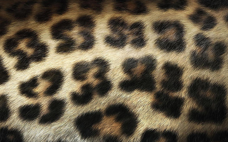 brown and black leopard print textile, Wool, Spot, animal, pattern, HD wallpaper