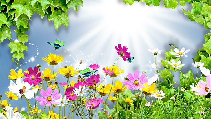 Summer Bright, wild flowers, daisies, spring, cosmos, shine, 3d and abstract, HD wallpaper