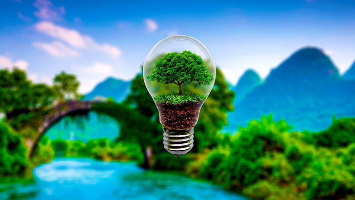 green, nature, light bulb, green energy, tree, lightbulb, yangshuo, HD wallpaper