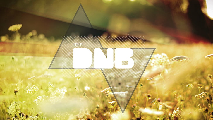 Drum And Bass, flowers, liquid Drum And Bass, music, nature