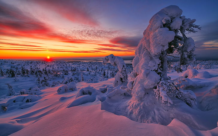 winter, sunset, landscape, snow, HD wallpaper