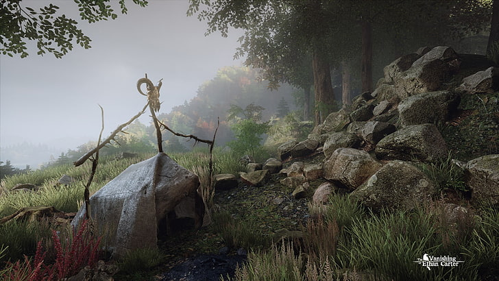 The Vanishing of Ethan Carter, video games, plant, tree, rock