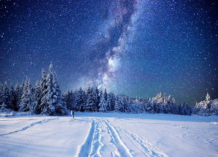 landscape, night, winter, snow, starry night, sky, forest, nordic landscapes, HD wallpaper