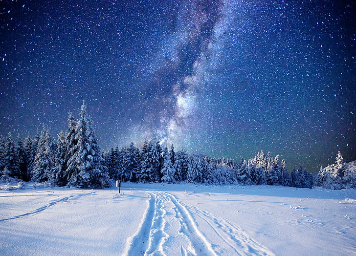 sky, winter, night, nordic landscapes, forest, starry night