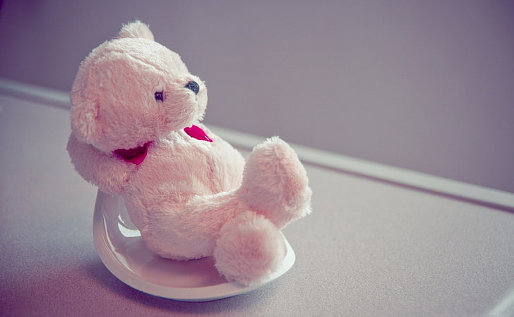 white bear plush toy, soft toy, plate, teddy Bear, cute, fluffy, HD wallpaper