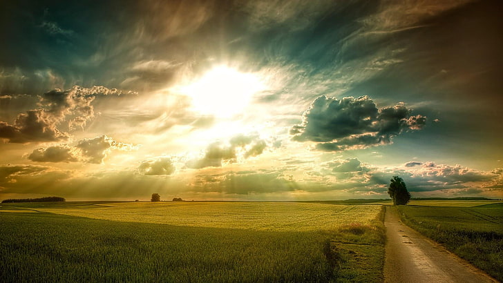 sky, nature, field, cloud, horizon, grassland, sunrise, sunlight, HD wallpaper