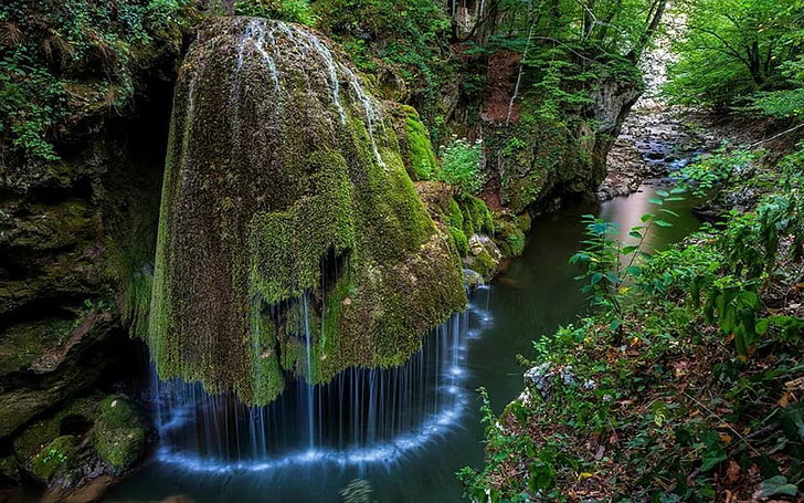 Bigar Cascade Waterfall Transylvania Romania, plant, beauty in nature