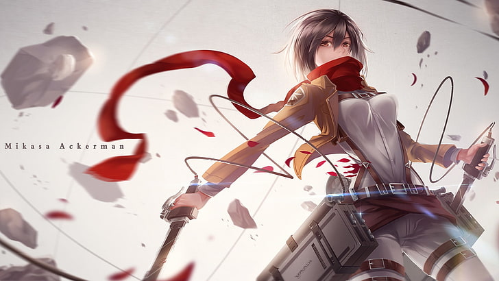 Mikasa of Attack of Titans, Shingeki no Kyojin, anime, Mikasa Ackerman