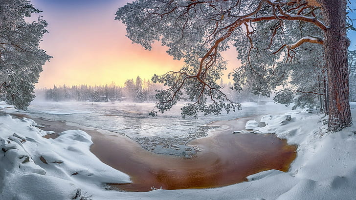 nature, snow, winter, trees, landscape, cold, HD wallpaper