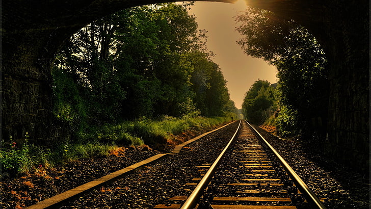 gray steel railroad, forest, trees, railway, track, railroad track, HD wallpaper