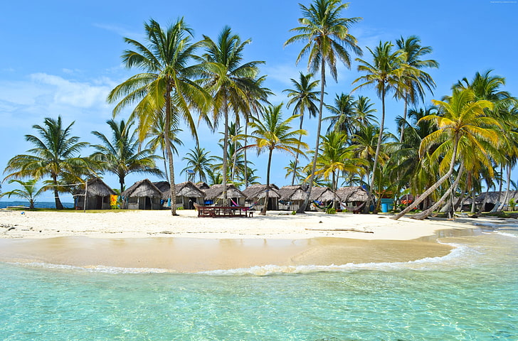4k, palms, Indian Ocean, Maldives, sky, Best Beaches in the World, HD wallpaper