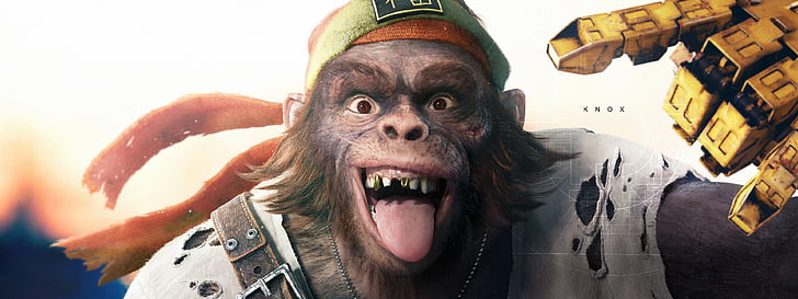 monkey wearing green and orange beanie illustration, Knox, Beyond Good and Evil 2